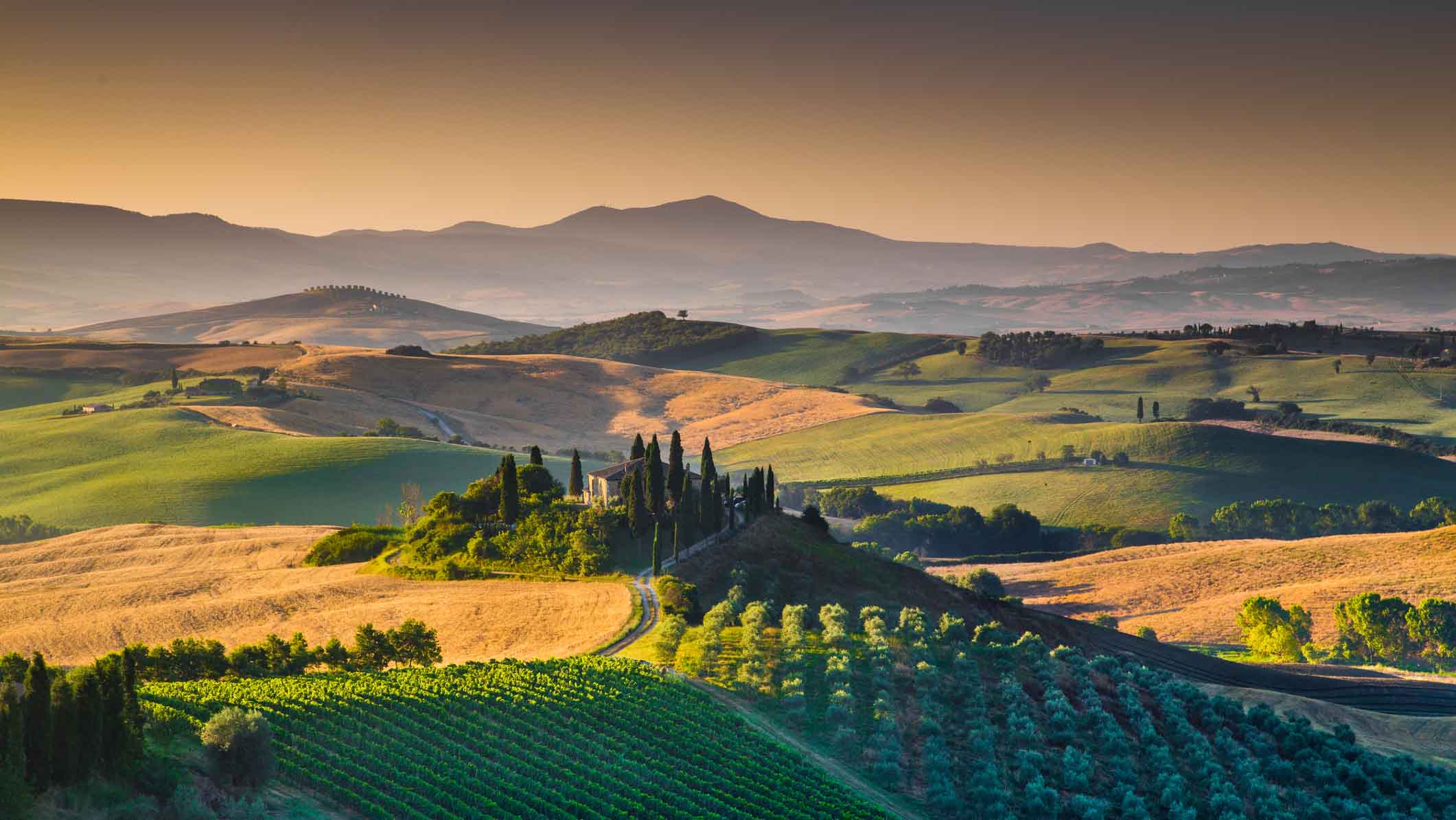 19. okt: spesiallansering av vin fra Italia
