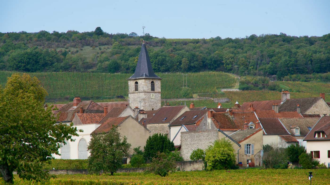Burgund, årgang 2017