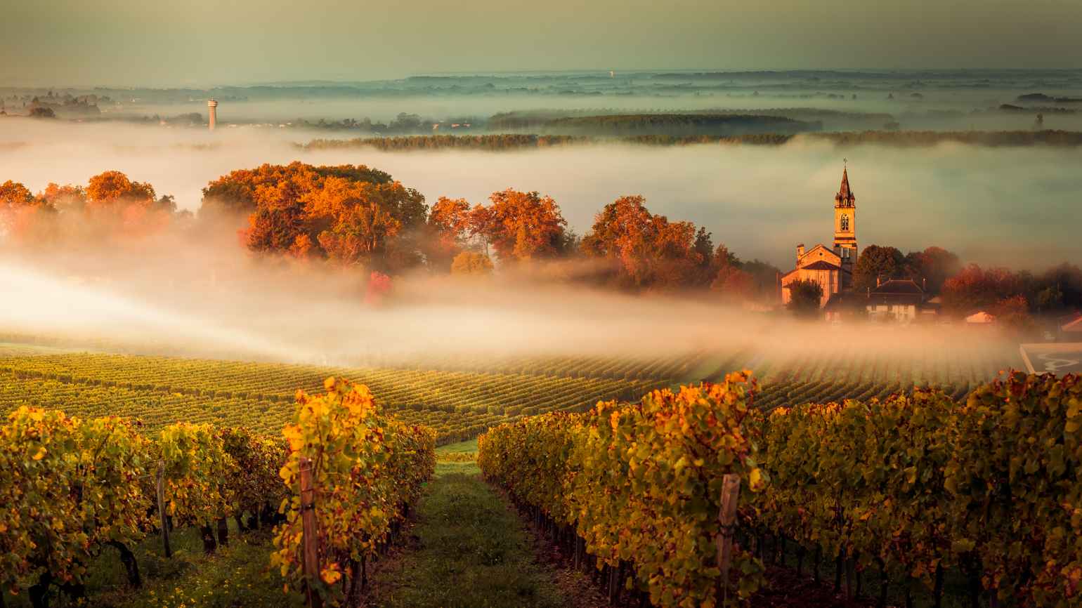 Vin fra vestsiden av Bordeaux