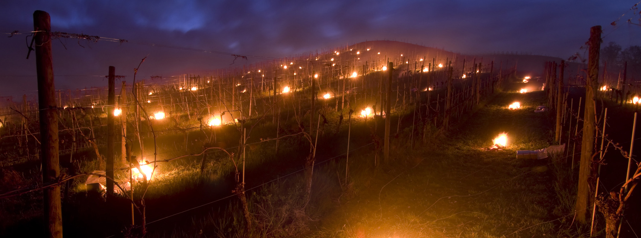 vårfrost vinmark  av.jpg