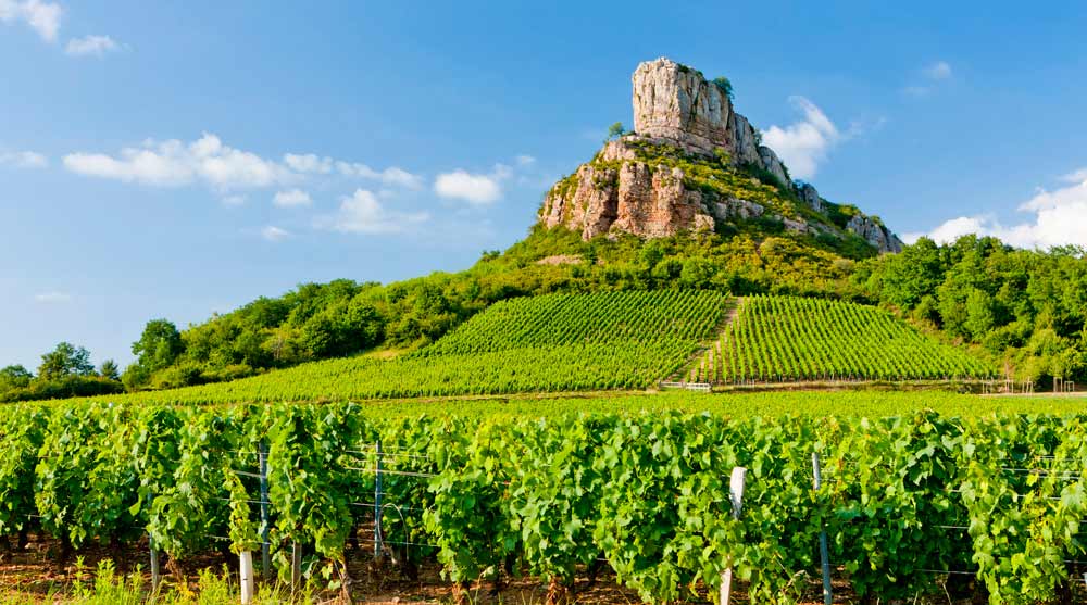 9. februar: Spesiallansering av vin fra Burgund