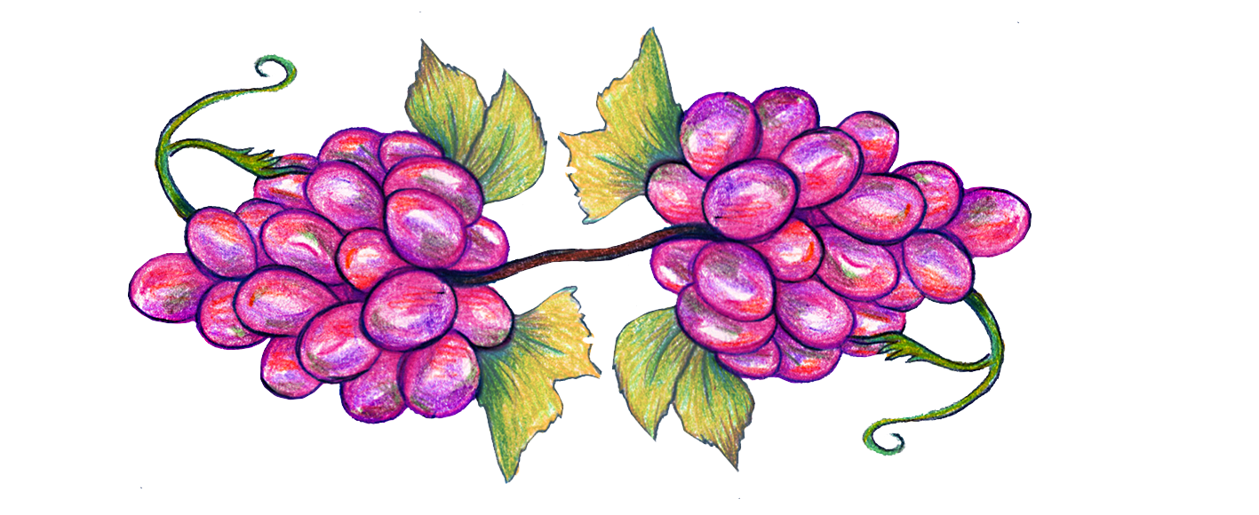 kvalitet i vin illustrasjon druer.png