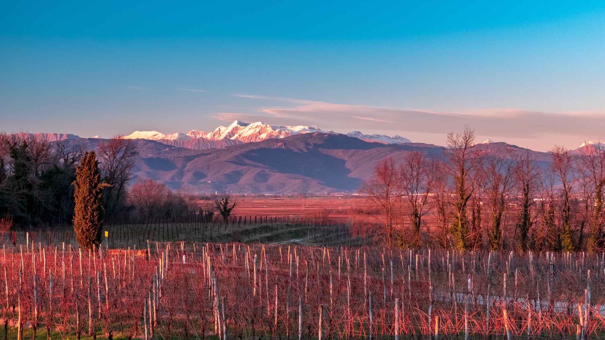 Friuli – landskapet, vinene, druene og historien