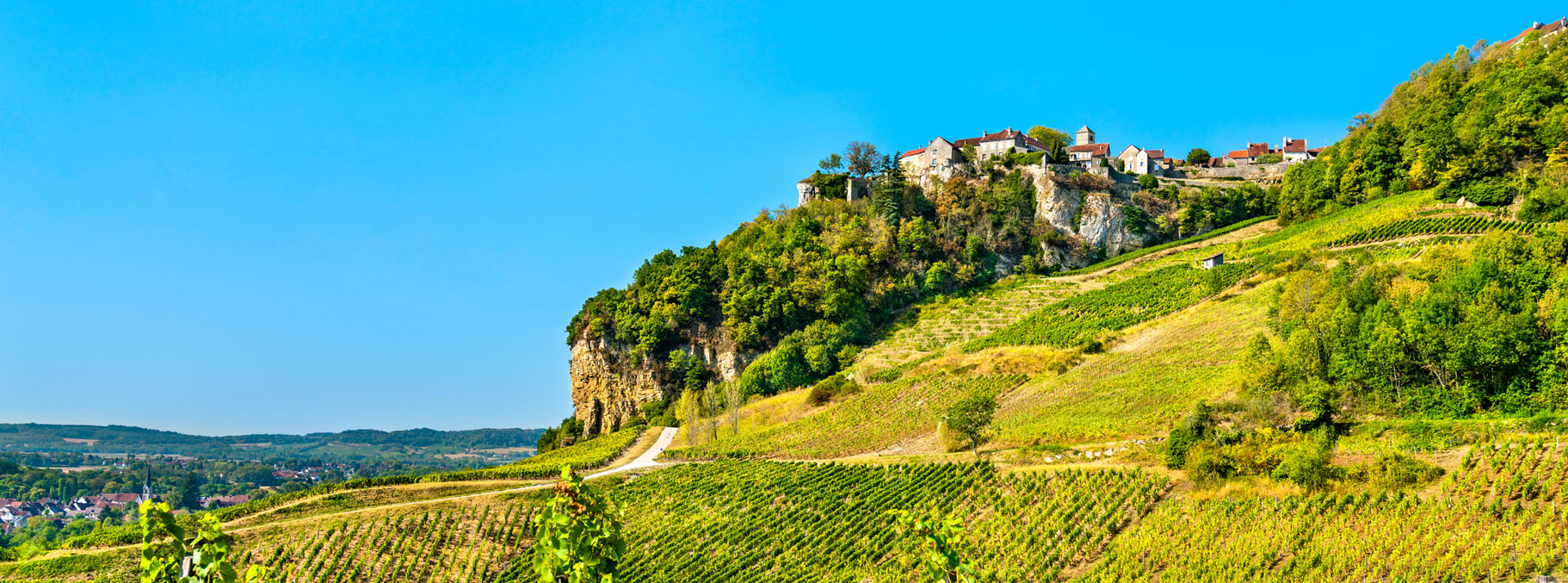landsbyen Chateau Chalon med vinmarker rundt.