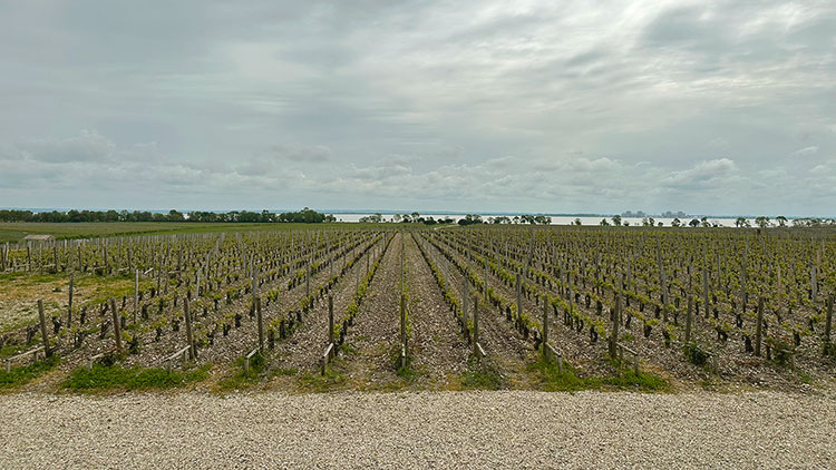 30. nov: spesiallansering Bordeaux og moden vin