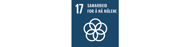 FNs bærekraftsmål 17. Tekst i bilde: Samarbeid for å nå målene.