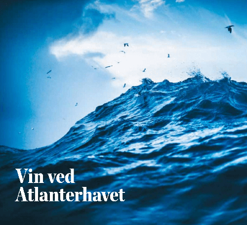 Vinbladet 2019-1