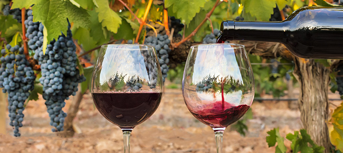 2 vinglass på et bord i en vinmark fylles med rødvin.