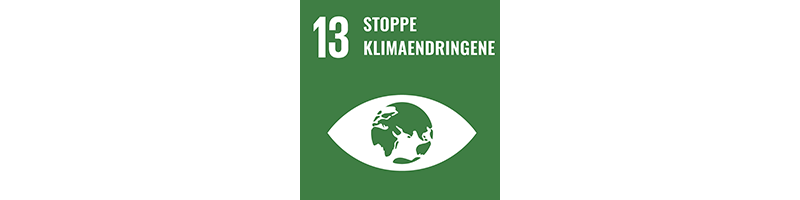 FNs bærekraftsmål 13. Tekst i bilde: Stoppe klimaendringene.