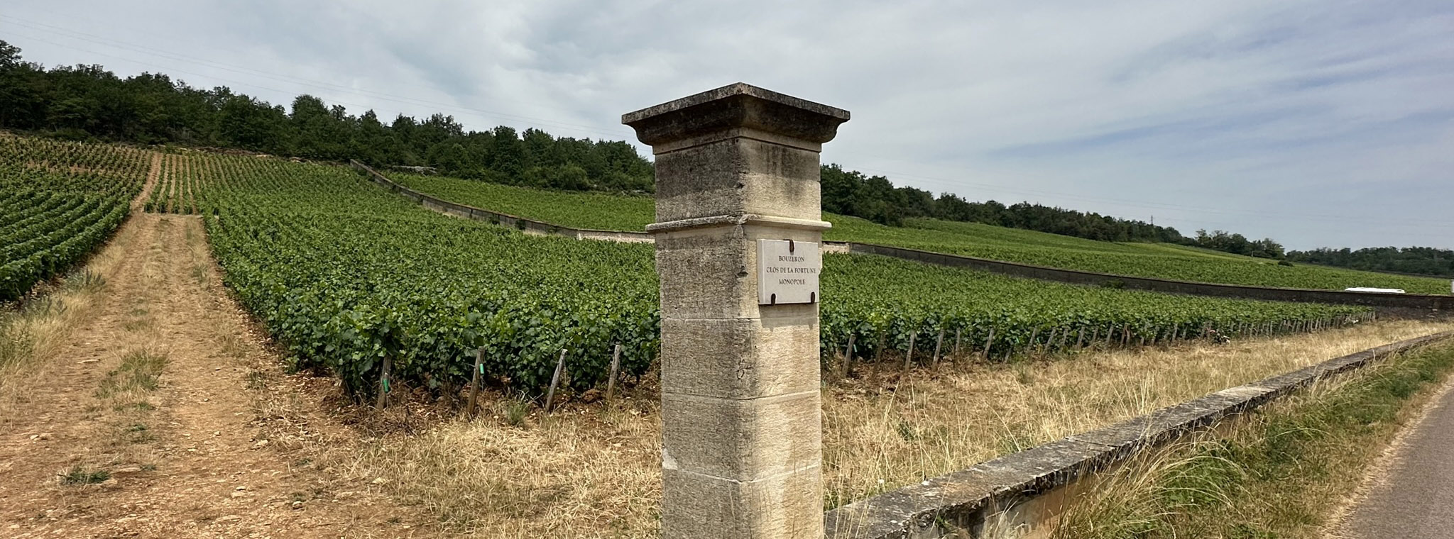 vinmark med stolpe i Bouzeron i Cote Chalonnais i Burgund Frankrike